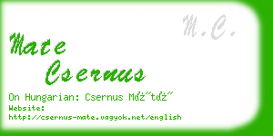mate csernus business card